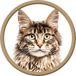 ./tokens/token_1 (5).png